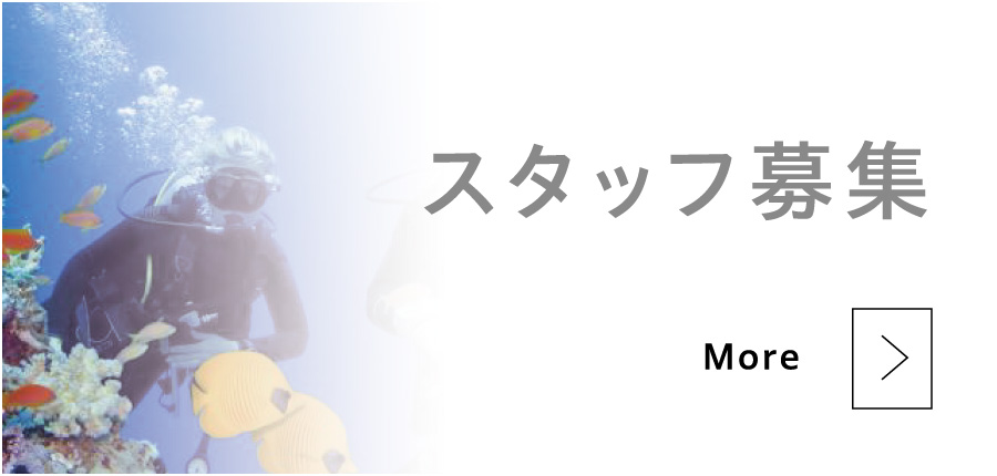 スタッフ募集