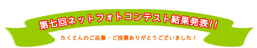 第七回ネットフォトコンテスト結果発表