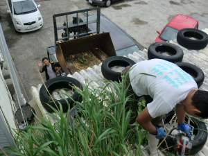 CIMG4797.jpg屋根１