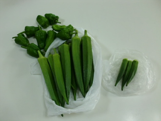 CIMG4951.jpgおくら