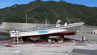 DSC_0008.jpgどっく