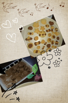 camerancollage2016_03_19_133101