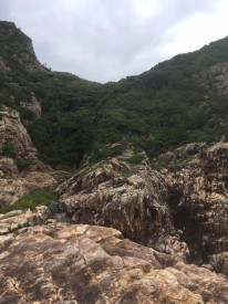 18839066_1808290666079445_2596615367291915999_n