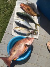 22815079_1868580183383826_9175790809583247296_n[1]