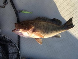 22833601_1867876340120877_2131767347_o