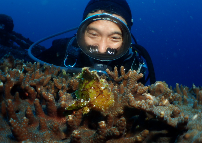 ハダカハオコゼ