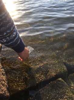 24899701_1886784148230096_6208356461854934877_n