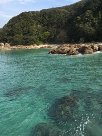 30704897_1943882949186882_4594166241236615168_n