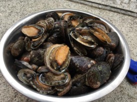 30728323_1943882779186899_906209013937471488_n