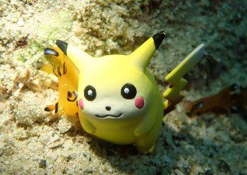 ウデフリツノザヤウミウシ