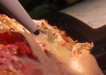 ペリクリメナエウス・コロダクティルス