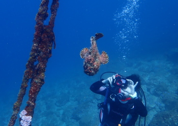 オオモンカエルアンコウ