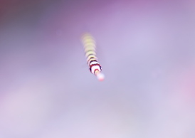 オイランヨウジ